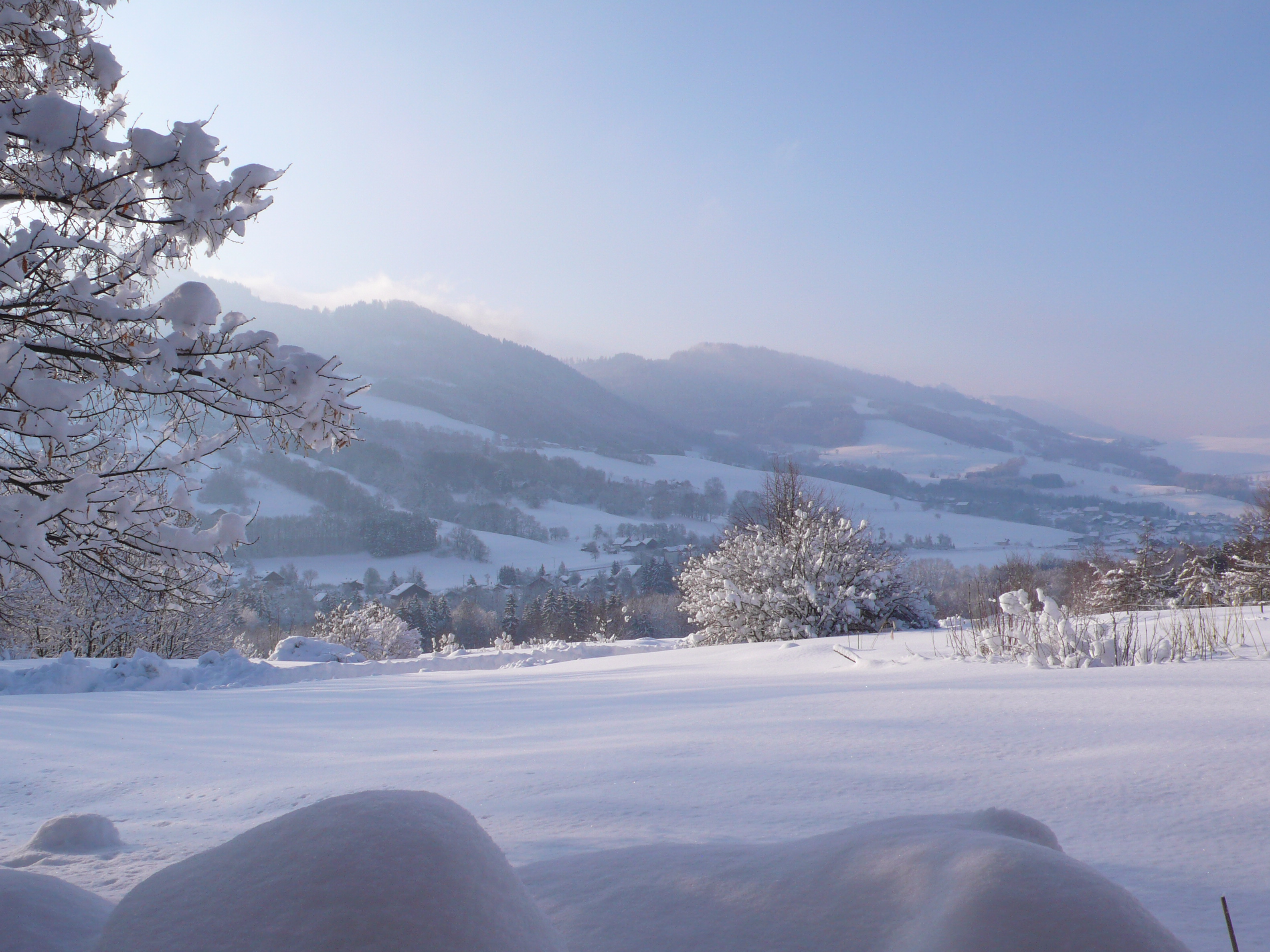 la pépinière en hiver